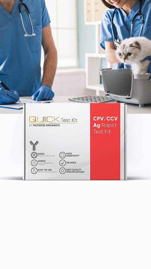 A Cutting-Edge Technology For On-Site Disease Diagnosis – Quick Test Kit Worldwide