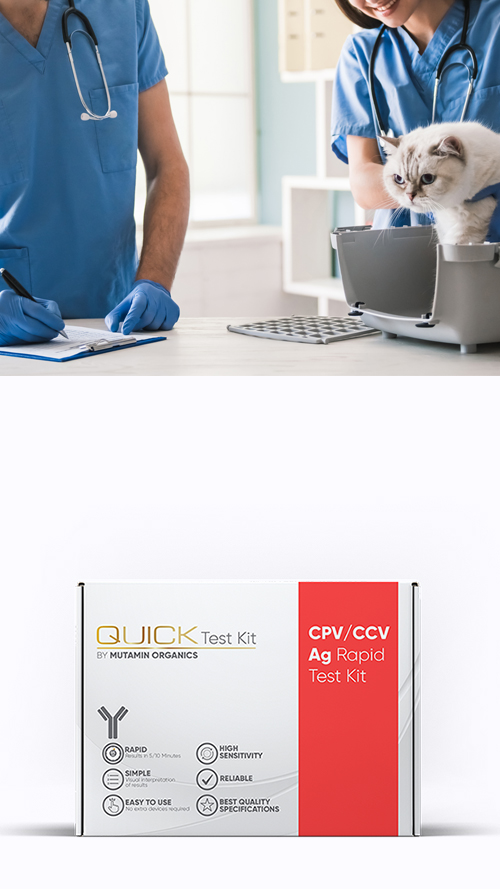 A Cutting-Edge Technology For On-Site Disease Diagnosis – Quick Test Kit Worldwide