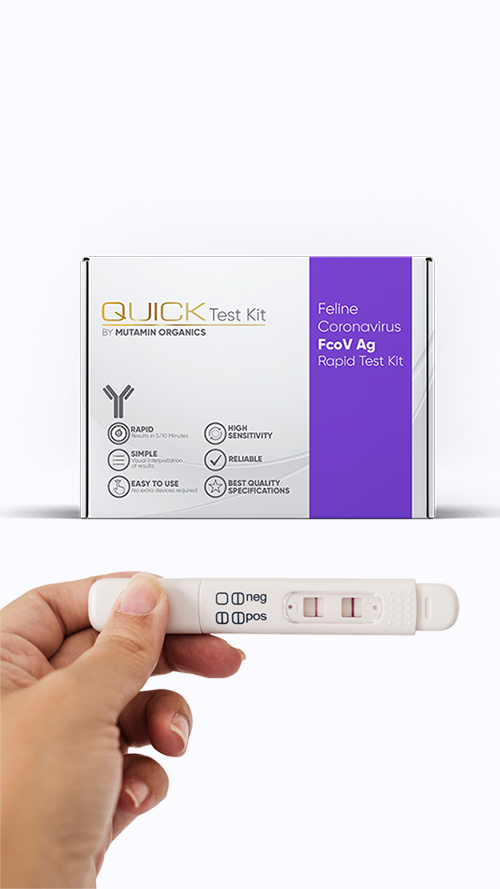 A Cutting-Edge Technology For On-Site Disease Diagnosis – Quick Test Kit Worldwide