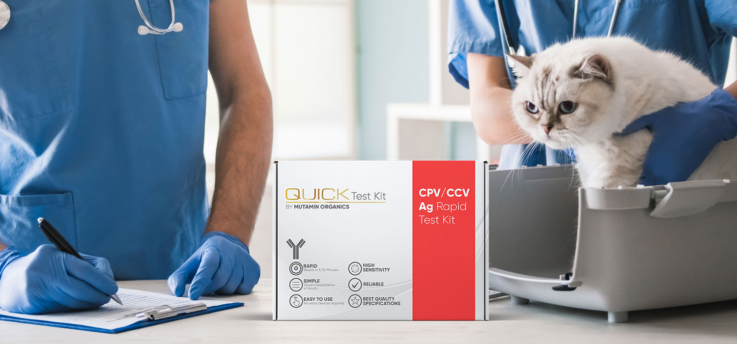 A Cutting-Edge Technology For On-Site Disease Diagnosis – Quick Test Kit Worldwide