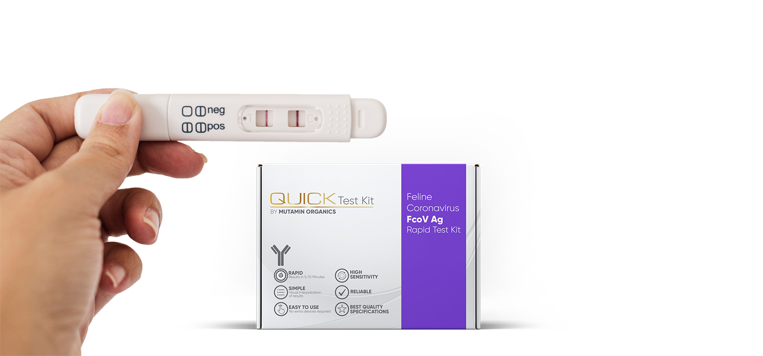 A Cutting-Edge Technology For On-Site Disease Diagnosis – Quick Test Kit Worldwide