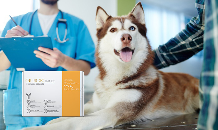 A Cutting-Edge Technology For On-Site Disease Diagnosis – Quick Test Kit Worldwide