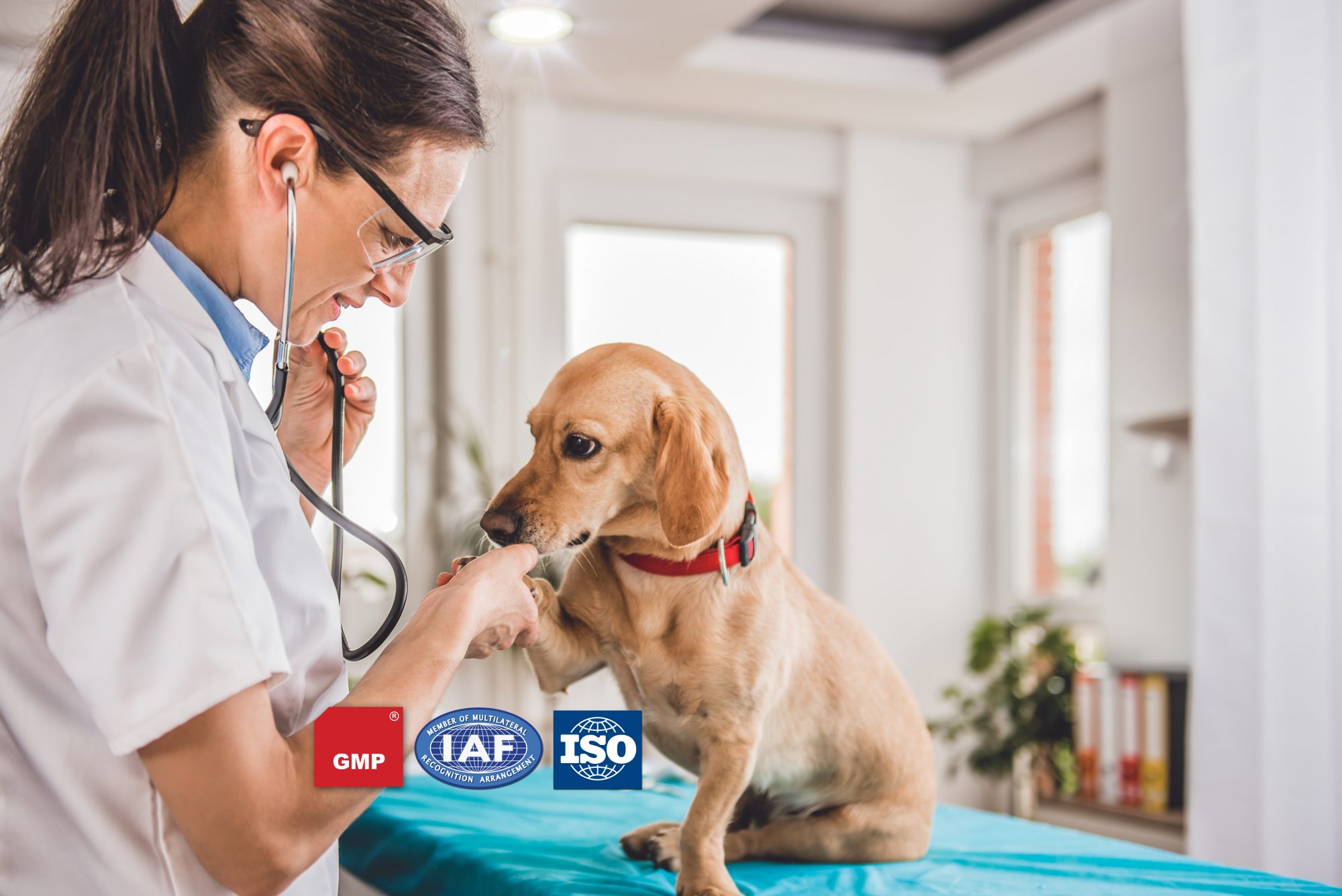 A Cutting-Edge Technology For On-Site Disease Diagnosis – Quick Test Kit Worldwide