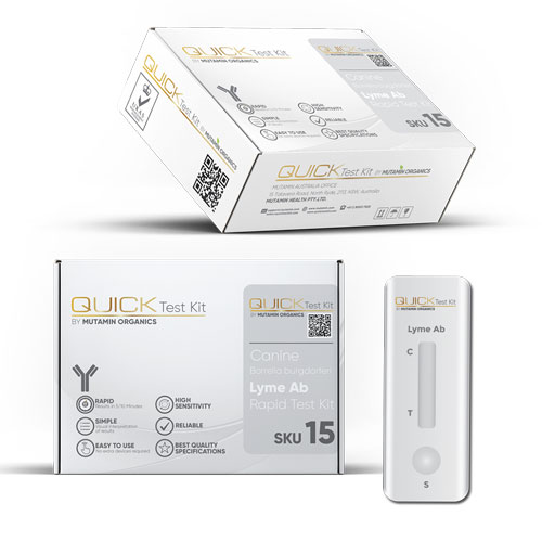 A Cutting-Edge Technology For On-Site Disease Diagnosis – Quick Test Kit Worldwide